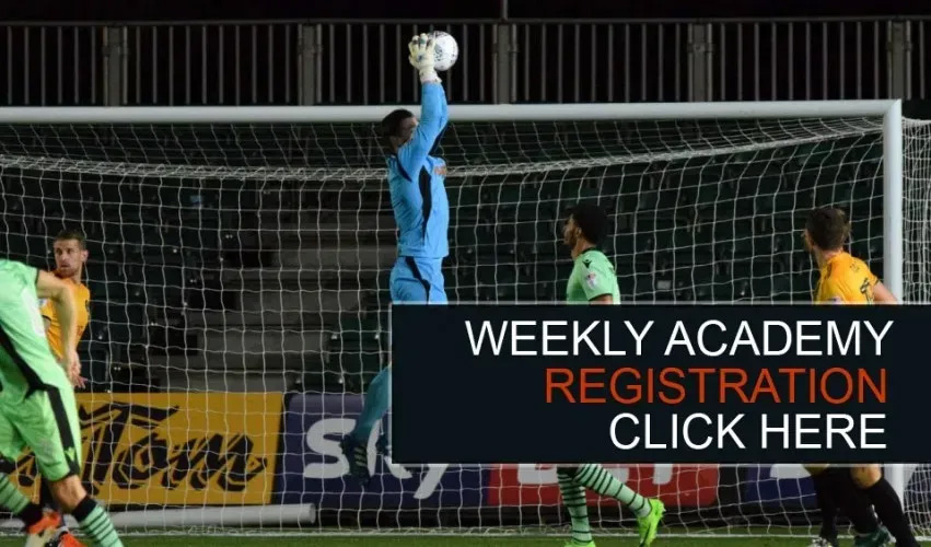 wekly-academy wekly-academy